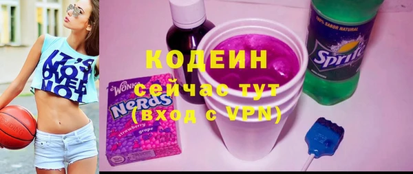 СК Бородино
