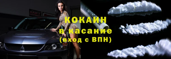 сатива Бугульма