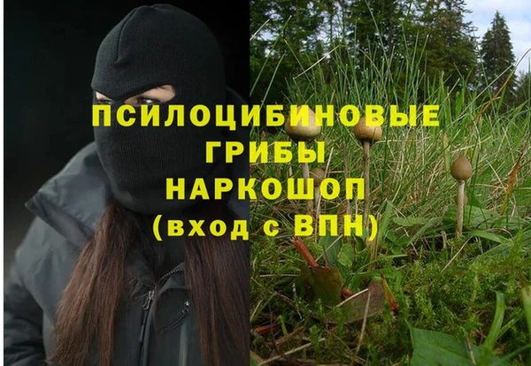 метамфетамин Богородицк