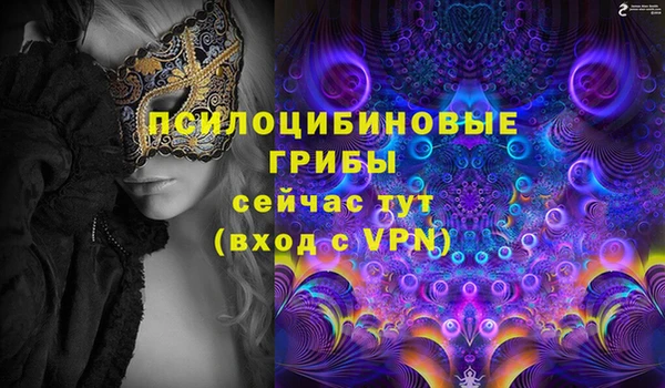 мдма Богданович