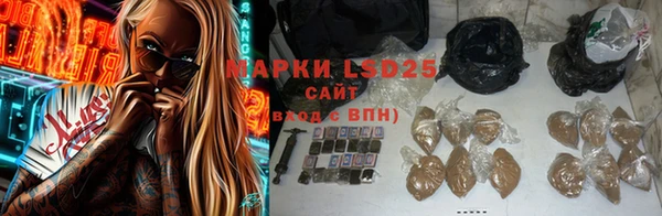 дживик Бронницы