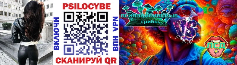продажа наркотиков  Семилуки  Галлюциногенные грибы GOLDEN TEACHER 
