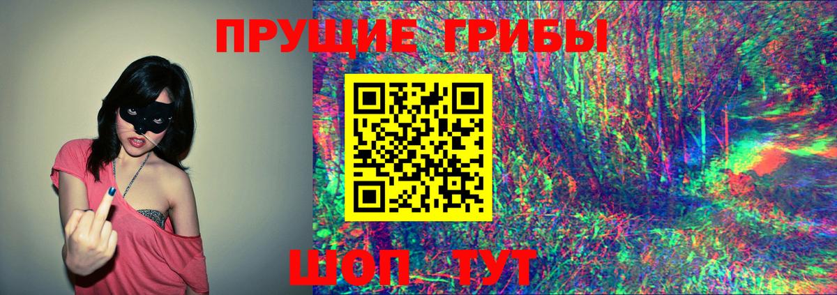 Семилуки  Псилоцибиновые грибы Psilocybe  Вход с VPN 